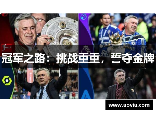 冠军之路：挑战重重，誓夺金牌